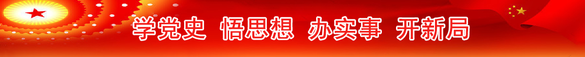 学党史悟思想办实事开新局